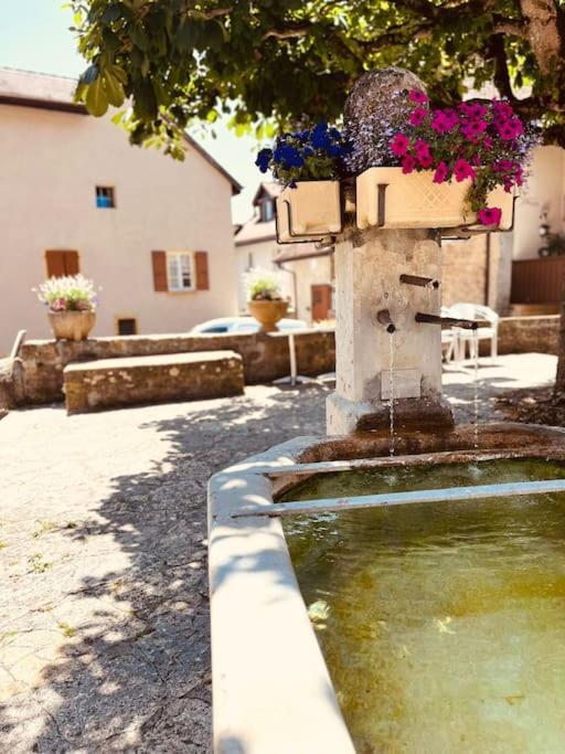 Charmant Appartement De Vacances Alta Ripa Hauterive  Exterior foto
